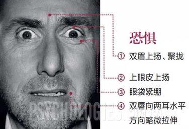 微表情分析明星说谎